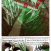 Flughunde – Bild 8