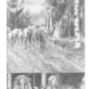 Kannas – Bild 3