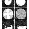 Virus Tropical – Bild 6