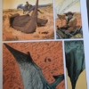 Negalyod – Bild 3